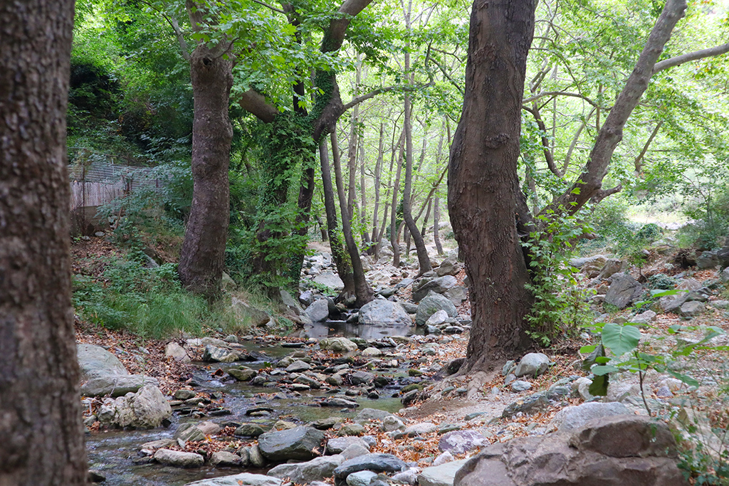 Flußlauf am Weg von Makrinitsa nach Volos.