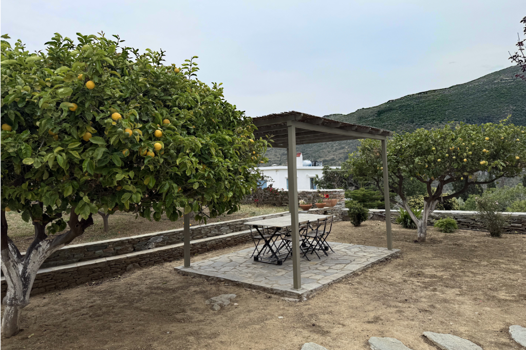 Zitronengarten beim Lemoni-House