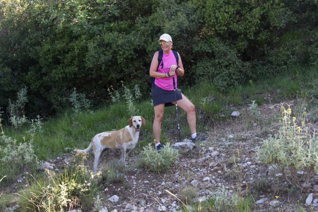 Hündin "Eirini" ist mit uns unterwegs am Menalon-Trail von Lagkadia nach Valtesiniko.