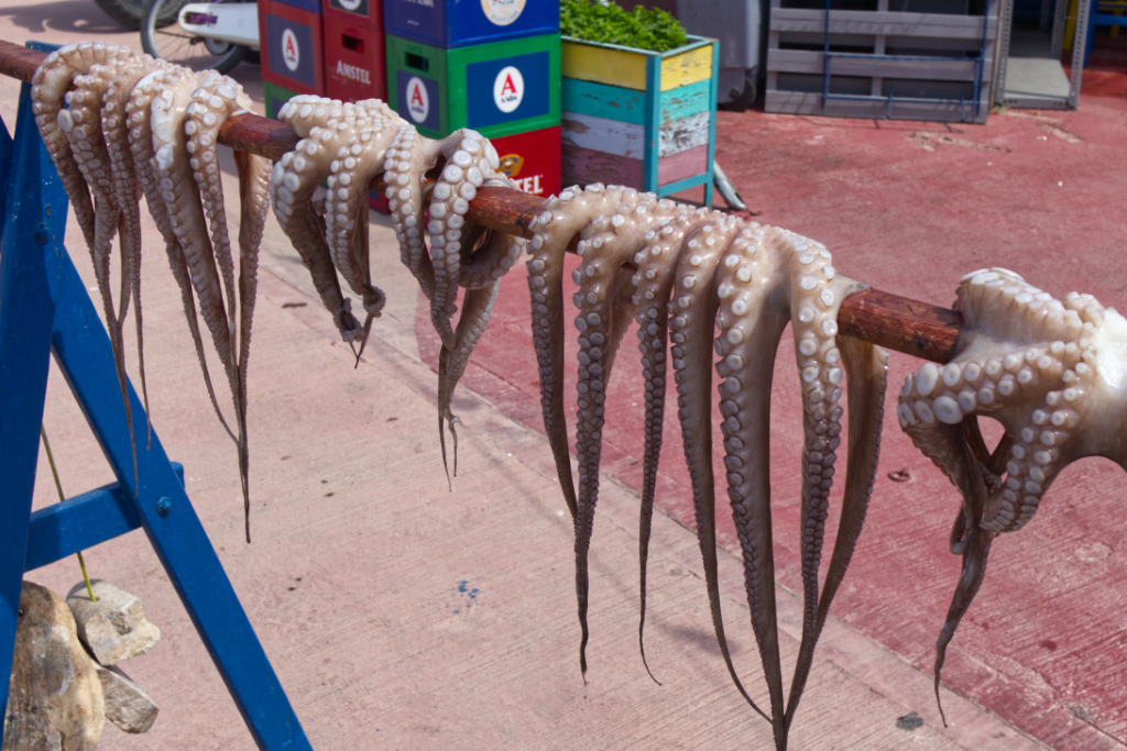 Oktopus wird von der Sonne vor einer Ouzerie im Hafen von Lipsi getrocknet.